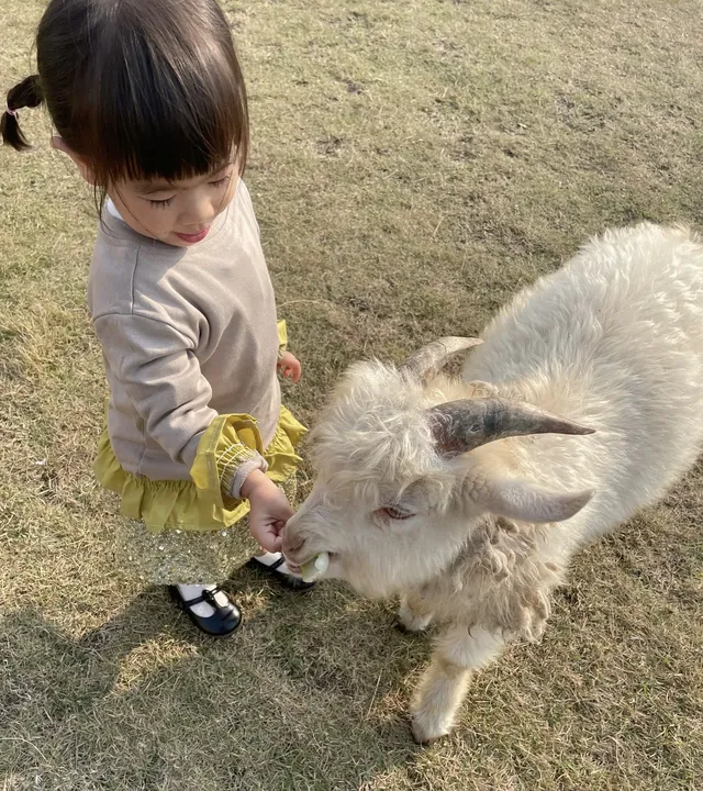 深圳寶藏親子牧場餵鹿撸兔遛娃絕了! 深圳寶藏親子牧場餵鹿撸兔遛娃絕了!