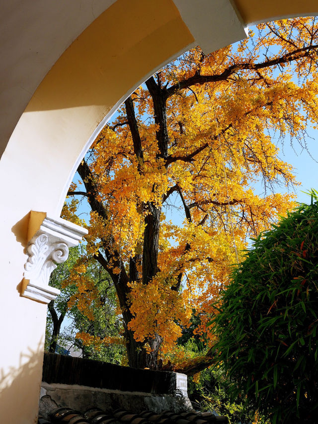 說走就走的金陵之旅2.5天年假邂逅南京的秋 說走就走的金陵之旅2.5天年假邂逅南京的秋