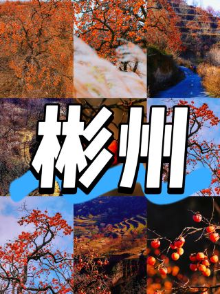 彬州3日2泊ディープツアー 仏窟と草原の二重体験｜完全ガイド