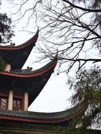 冬日泉州｜清源山的絕美夕陽剪影