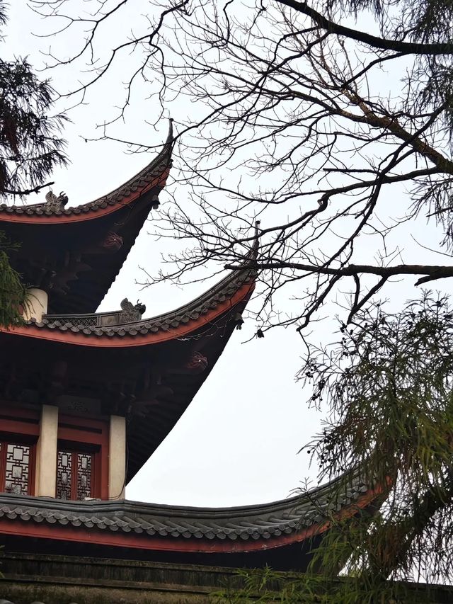 冬日泉州｜清源山的絕美夕陽剪影