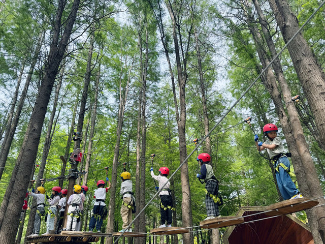 魔都新打卡點！浦江郊野公園叢林探險全攻略
