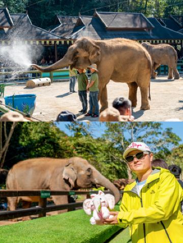 Don't miss it! I've compiled a complete travel guide to Xishuangbanna, Yunnan.