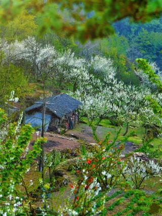 เส้นทางเดินป่าชมดอกไม้บาน 10 เส้นทางนี้ได้รับการทดสอบและพิสูจน์แล้วว่าสวยงามและน่าประทับใจ รับรองว่าคุณจะต้องชอบ!