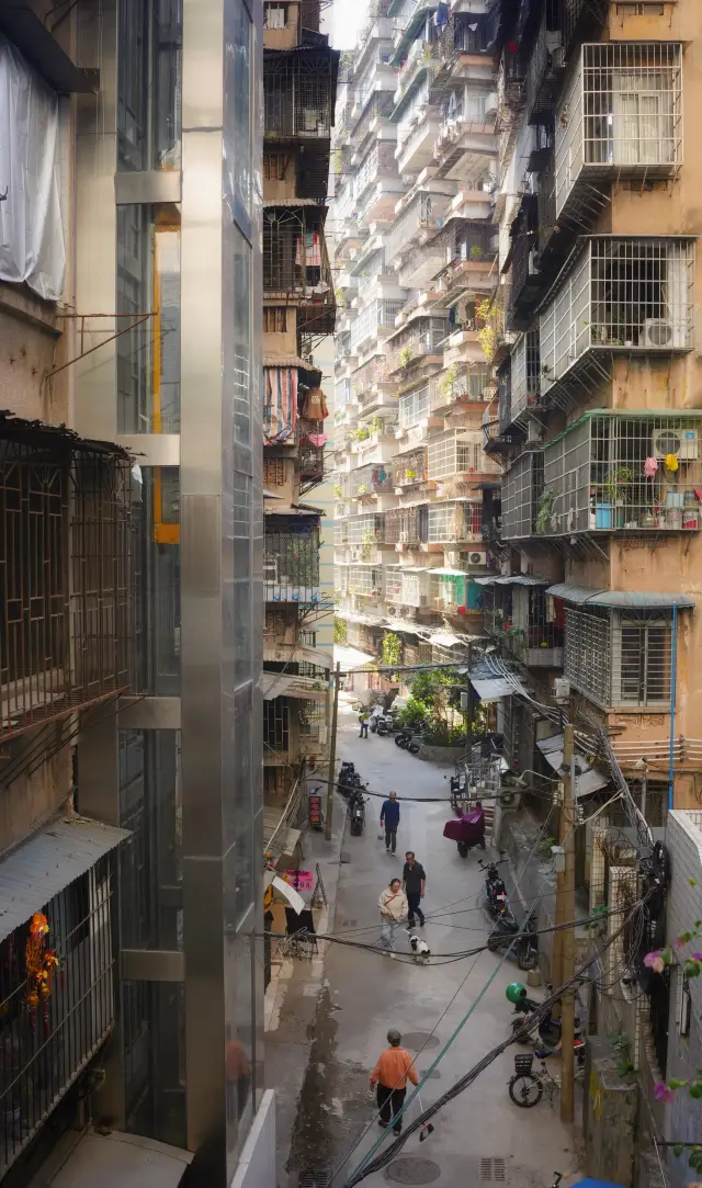 New Ways to Enjoy Guangzhou Rooftop Gardens