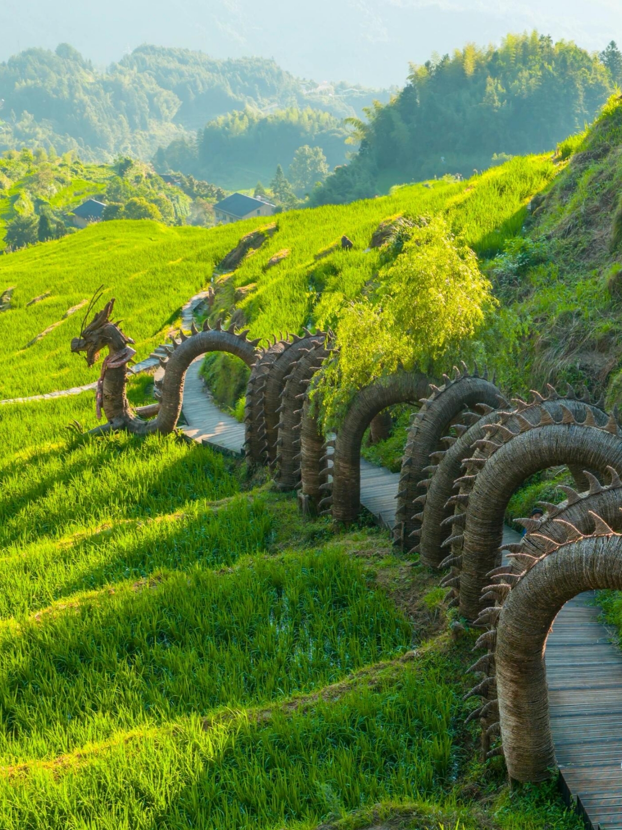 Too beautiful to be so low-key! Here lies the last Jiangnan secret in southern Zhejiang