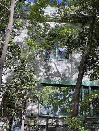 輕鬆無壓的完整東京行程,打造完美家庭假期