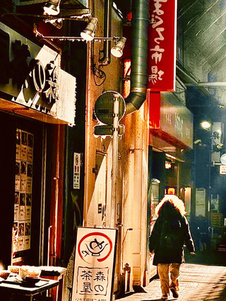  【2026世界盃】盛岡・盛岡城《Izakaya "Morioka Rekka"》— 盛岡城跡公園 & 中津川河畔