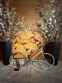 Perfect Stay for Exploring Nagoya and Surrounding Areas