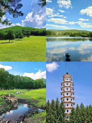 Yichun family travel map, cool and slow tour in the forest city
