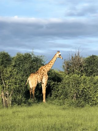 9日間アメリカ旅行の役立つ情報、無駄なく超安心ガイド