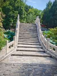 保定美景“蓮漪夏艷”:古蓮花池