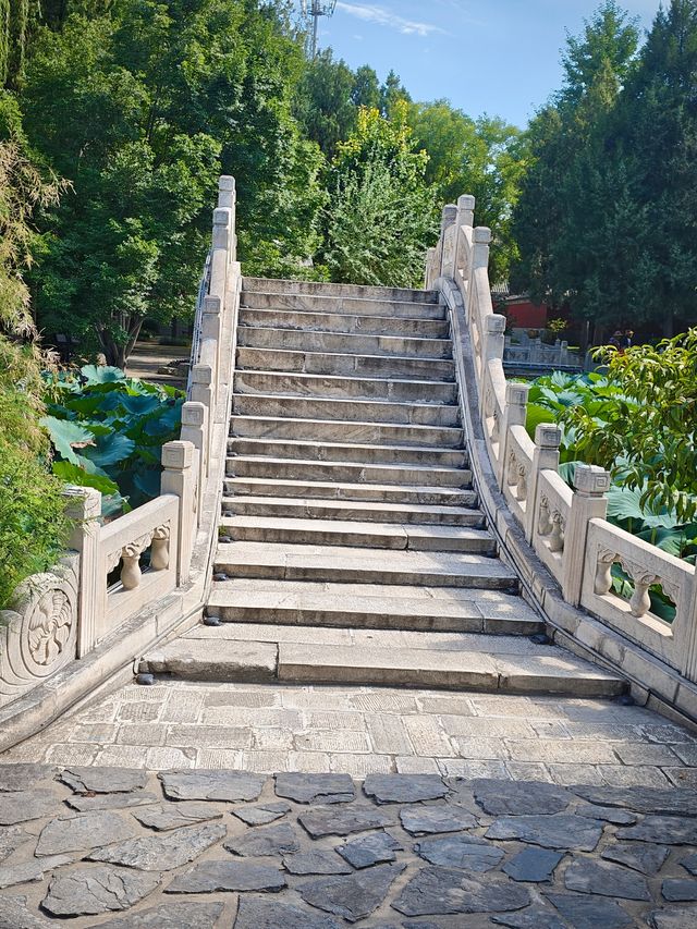 保定美景“蓮漪夏艷”:古蓮花池