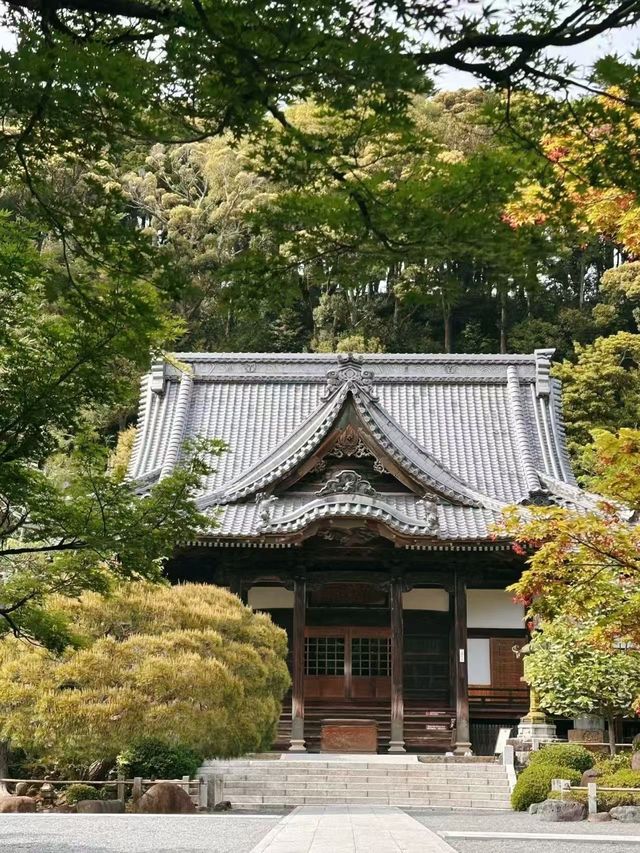 比京都還美!這個隱世小京都美到犯規 比京都還美!這個隱世小京都美到犯規