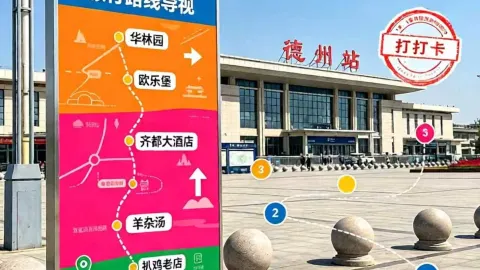 Dezhou Summer Fireworks Journal | Euro Park Night Carnival + Braised Chicken Foodie Guide!. — traveler post in Ningjin