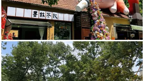 린슈의 산골 마을에 자리 잡은 숨겨진 학문적 보석, 몰린 서원을 방문해 보세요. 도시의 번잡함에서 벗어나 린슈 칭윈진 샤워촌에 있는 몰린 서원으로 차를 몰고 가보세요. — traveler post in 린수