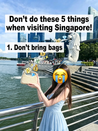 5 things you must not do in Singapore 3-day itinerary: Day 1: Merlion Park Gardens by the Bay Supertree Grove