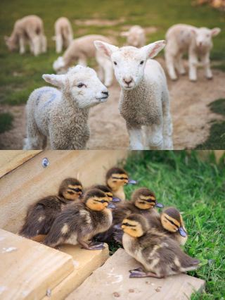 สัมผัส 4 ฤดูในหนึ่งวันที่นิวซีแลนด์เดือนตุลาคม! คู่มือการแต่งกายและการเดินทาง