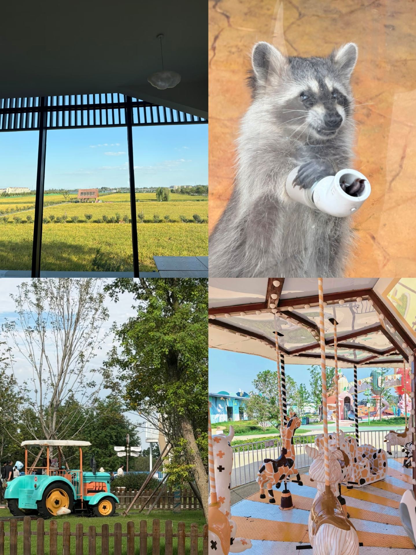 2 days 1 night at MOMO Paradise | Truly stress-free parenting, no exhaustion for mom and dad
