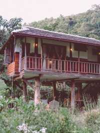 Mori Natural Farm โมริ เนเชอรัลฟาร์ม เชียงใหม่ 