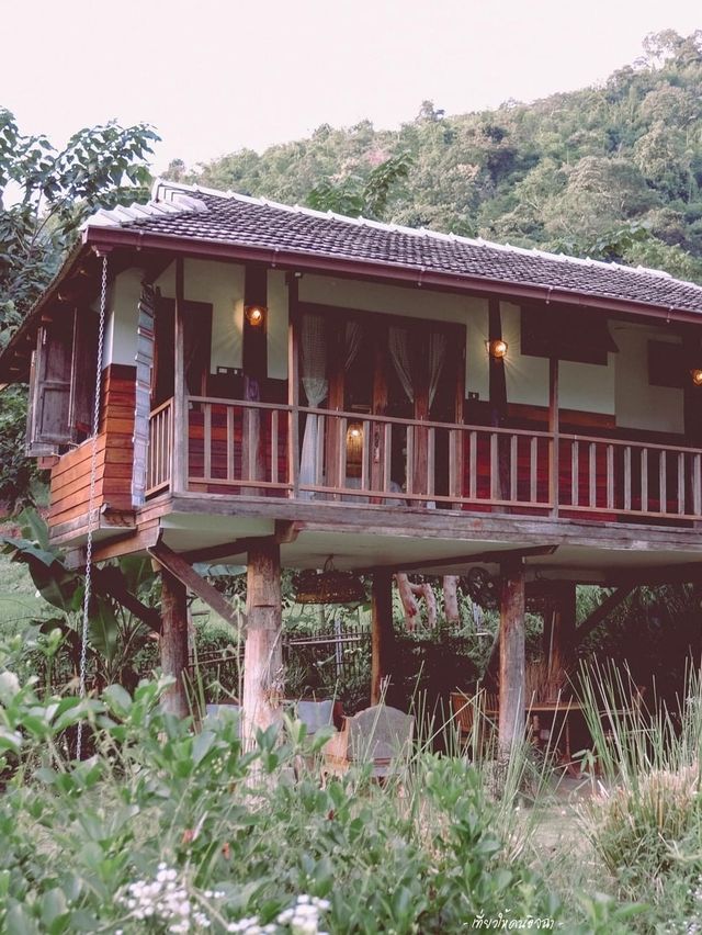 Mori Natural Farm โมริ เนเชอรัลฟาร์ม เชียงใหม่ 