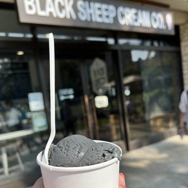【ハワイ・オアフ島】黒い美味しいアイスクリーム