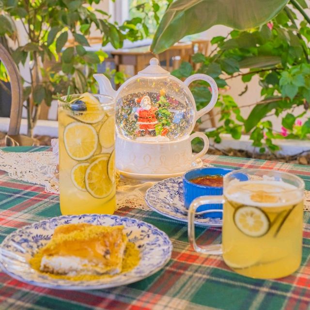 🍊감귤밭에 둘러쌓인 감귤뷰 카페 [제주, 덴드리]🍊