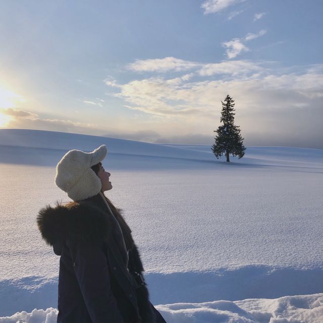 겨울엔 삿포로지~☃️ 인생경험 비에이투어 | 트립닷컴 비에이 초 겨울엔 삿포로지~☃️ 인생경험 비에이투어 | 트립닷컴 비에이 초 
