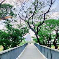 ขับรถไปสวนเบญจกิติ
