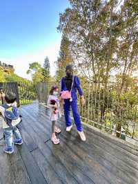 Beautiful Sunrise at Penang Hill 