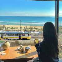 바다를 지나는 해변열차뷰 카페🚃🌊