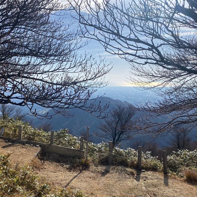 楓葉滿山的美景