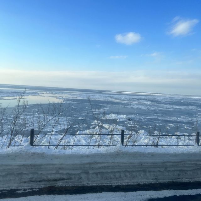 【北海道】バスからの車窓が美しすぎる