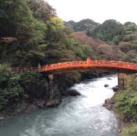 【日光】観光オススメ