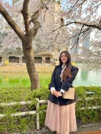 벚꽃 보러 가기 좋은 석촌호수 벚꽃길🌸
