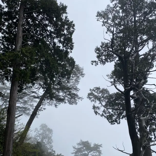 大雪山森林遊樂區