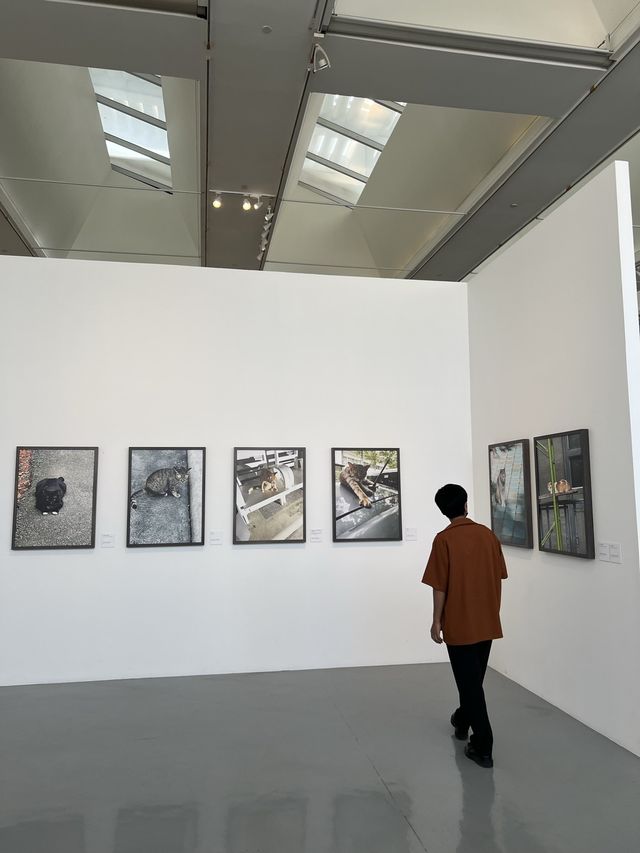 Art Exhibition หอศิลป์กรุงเทพ