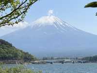 富士山河口湖Craft Park｜沿著湖畔散步看富士山真的是太興奮