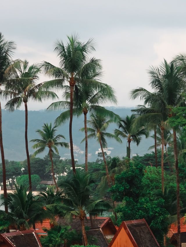 Casa De Mar Hotel, Koh Samui✈️🇹🇭💭