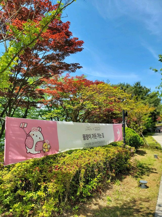 라한사진관에 부대시설이 재밌는 찐힐링 호캉스🩷