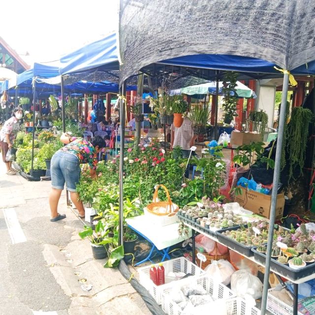 ตลาดน้ำตลิ่งชัน กรุงเทพ