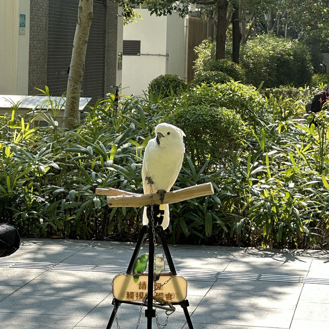 市區中的小花園