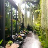จิบกาแฟในสวนป่ากลางเมืองทองธานี