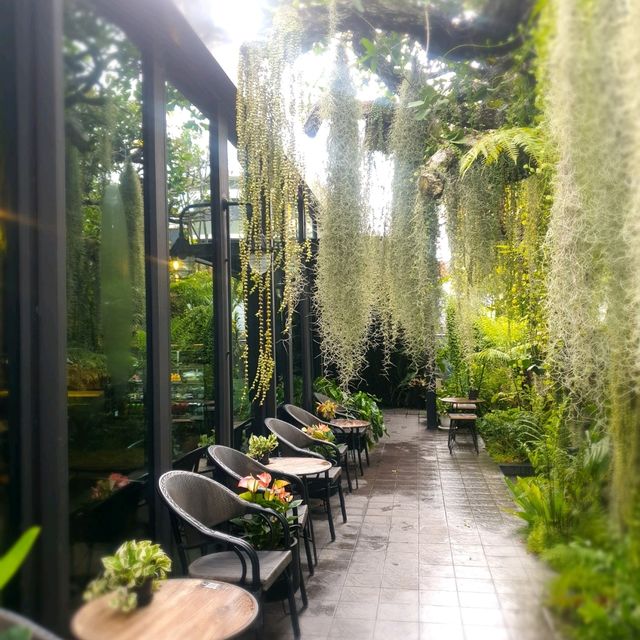 จิบกาแฟในสวนป่ากลางเมืองทองธานี