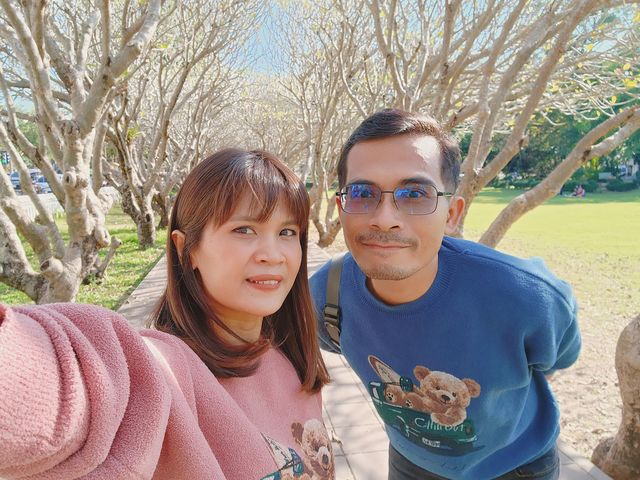 📸ซุ้มต้นลีลาวดี จ.น่าน