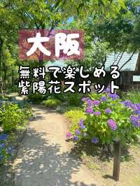 【大阪】無料で楽しめる紫陽花スポット〜舞洲ロッジ〜