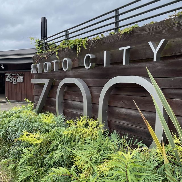【親子景點】京都市動物園