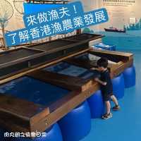 香港免費遊學館-帶孩子去了解香港漁業