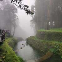 Alishan, Taiwan