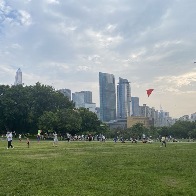 打卡深圳中心蓮花山 輕鬆飽覽福田美景